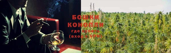 молекула духа Лихославль