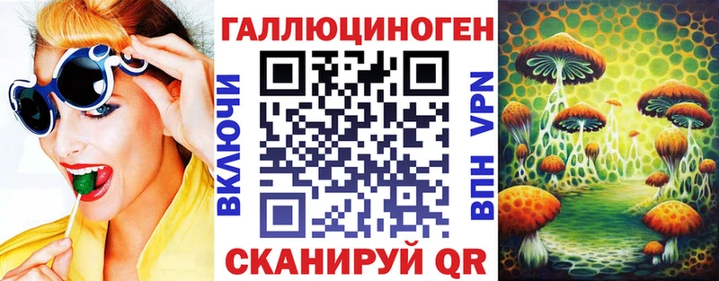 Купить  Тайга  Псилоцибиновые грибы Cubensis 