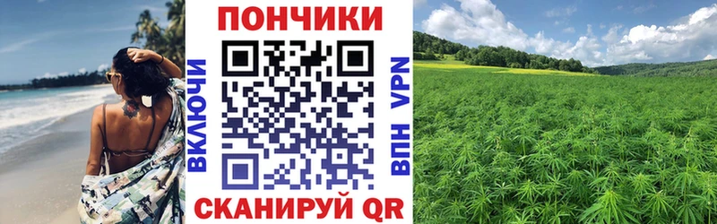 Каннабис OG Kush  Купить где  Тайга 